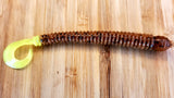 4" Ring Worm 10 Pack